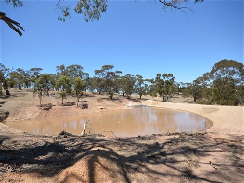 Lot 5 Spring Gully Road, Clare SA 5453