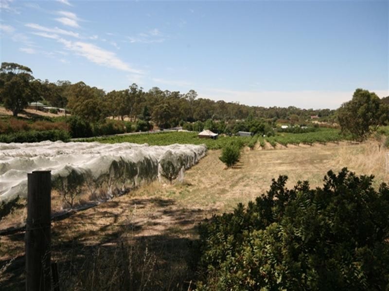 Lot 1 Main North Road, Penwortham SA 5453