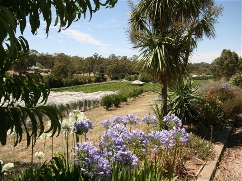 Lot 1 Main North Road, Penwortham SA 5453