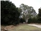 Lot 68 Adelaide North Road, Watervale SA 5452