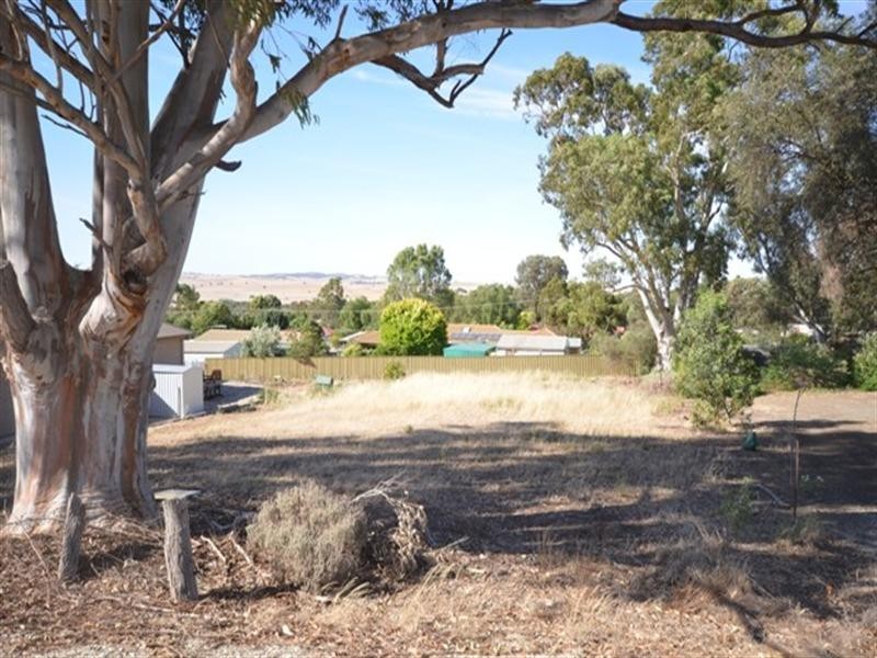 Lot 525 South Terrace, Kapunda SA 5373