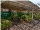 31 Diagonal Road, Ardrossan SA 5571
