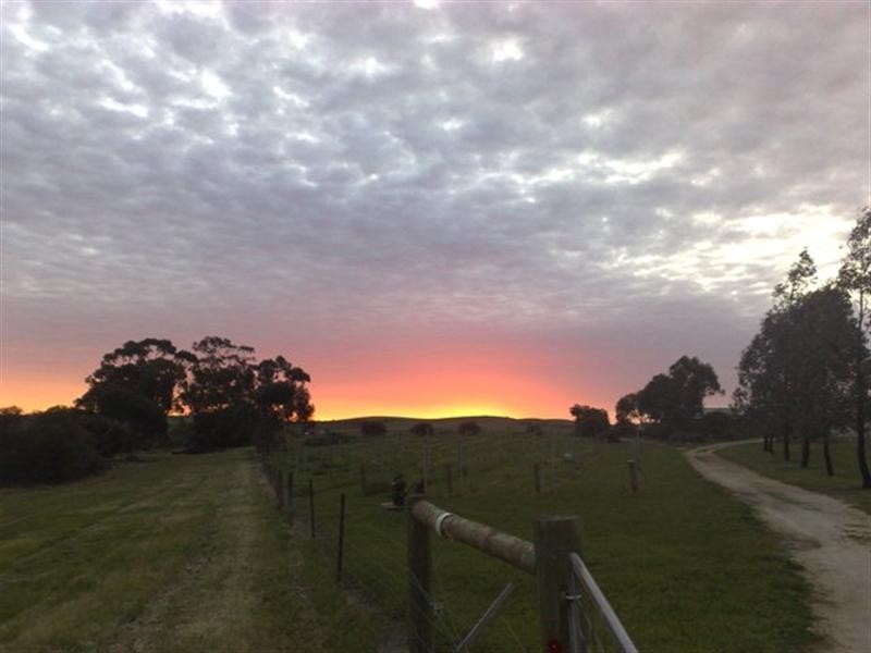 Lot 367 Government Road, Leasingham SA 5452