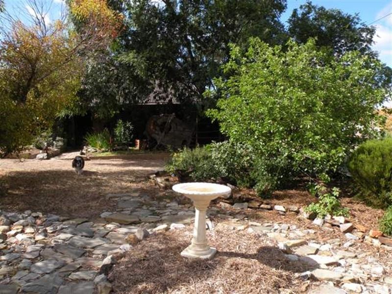 1 Trembeth Street, Burra SA 5417