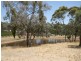 Lot 3 Warenda Road, Clare SA 5453