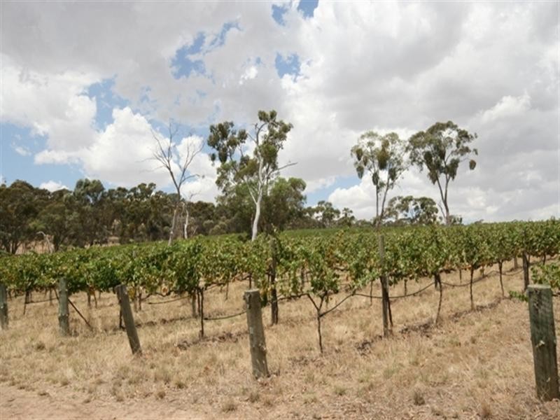 Lot 3 Warenda Road, Clare SA 5453