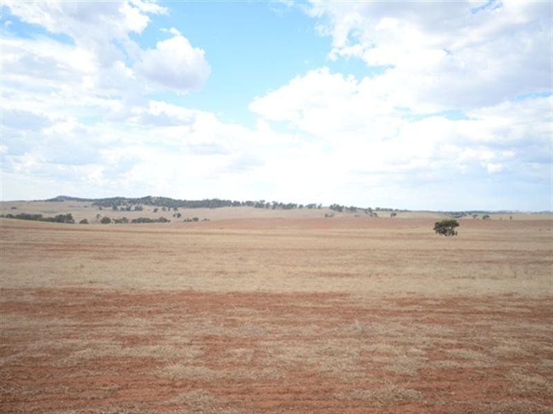 “Fords” Fords Road, Kapunda SA 5373