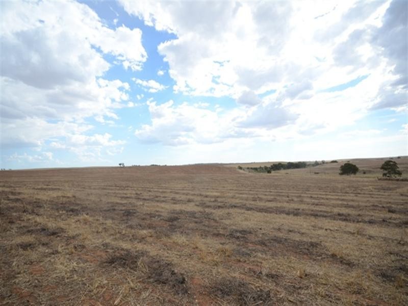 “Fords” Fords Road, Kapunda SA 5373