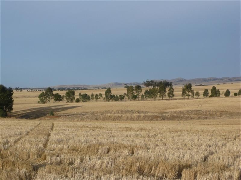 . “Donara”, Mount Bryan SA 5418