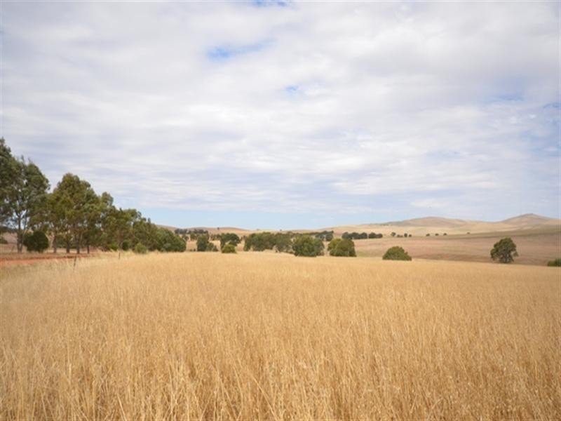 . “Donara”, Mount Bryan SA 5418