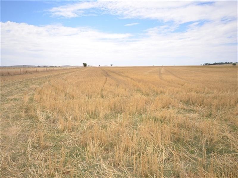 . “Donara”, Mount Bryan SA 5418