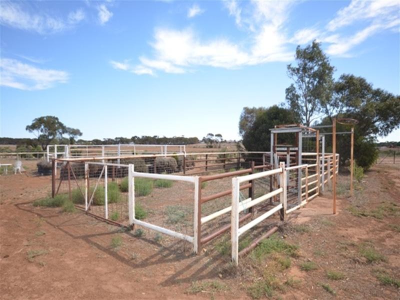 Lot 6 Burra Road, Robertstown SA 5381