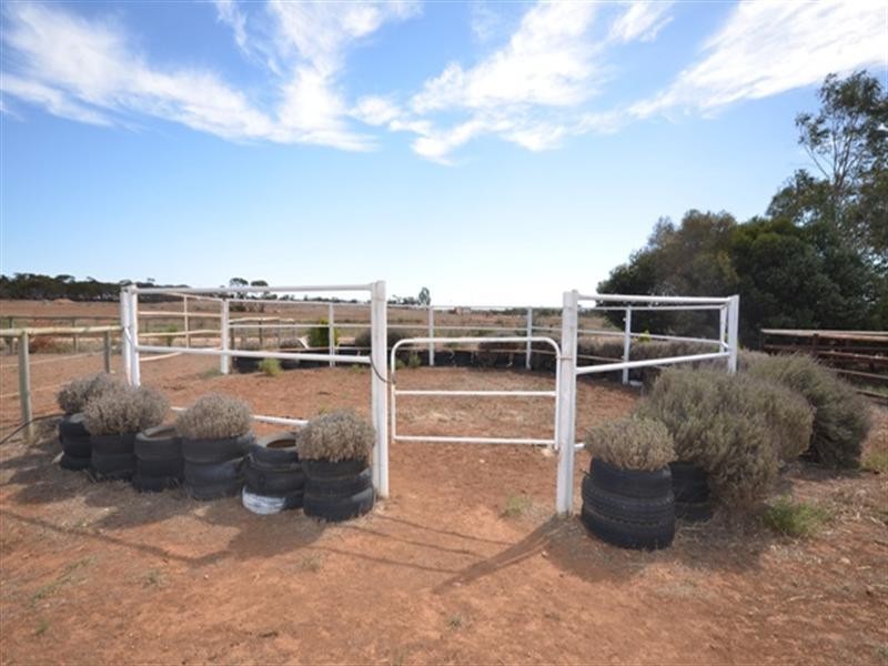 Lot 6 Burra Road, Robertstown SA 5381