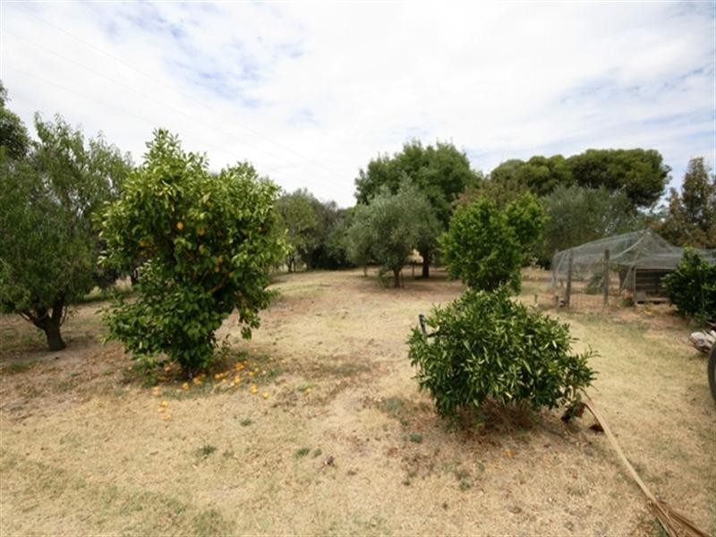 Section 55 Govt Road, Clare SA 5453