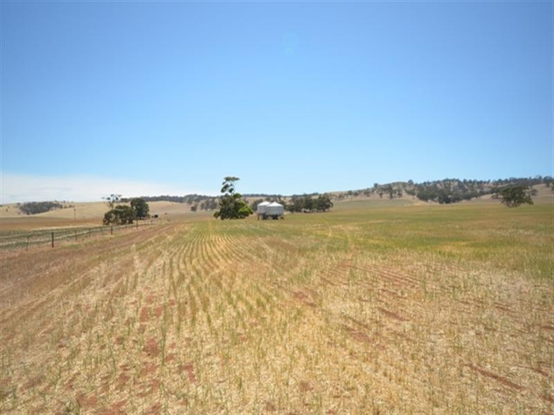 . “Spring Gully”, Kybunga SA 5453