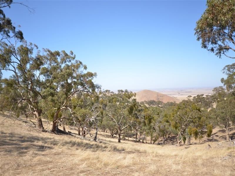 . “Spring Gully”, Kybunga SA 5453