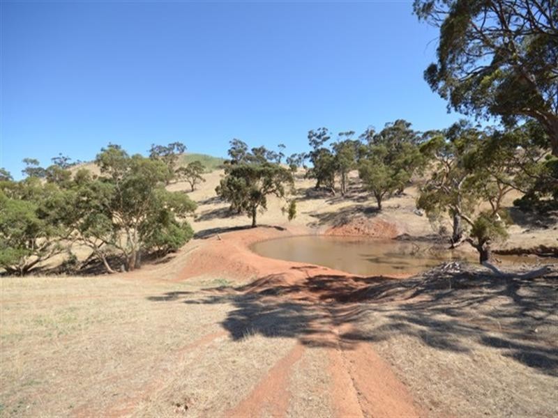 . “Spring Gully”, Kybunga SA 5453