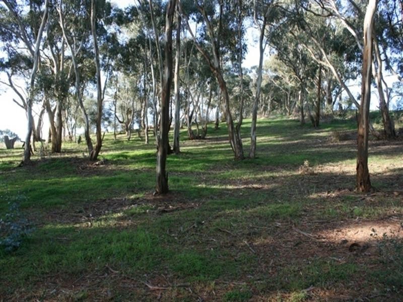 Lot 11 Pawelski Road, Penwortham SA 5453