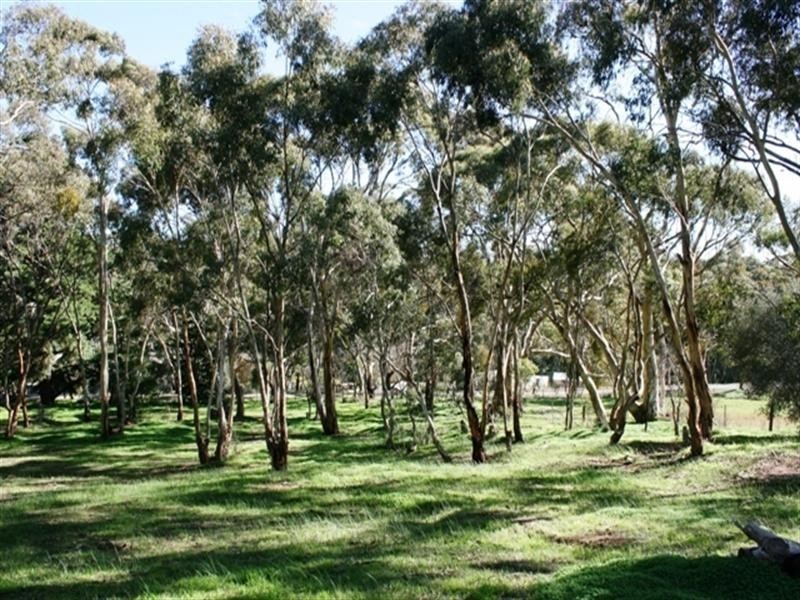 Lot 11 Pawelski Road, Penwortham SA 5453