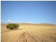 Sec 581and582 Riley Road, Farrell Flat SA 5416
