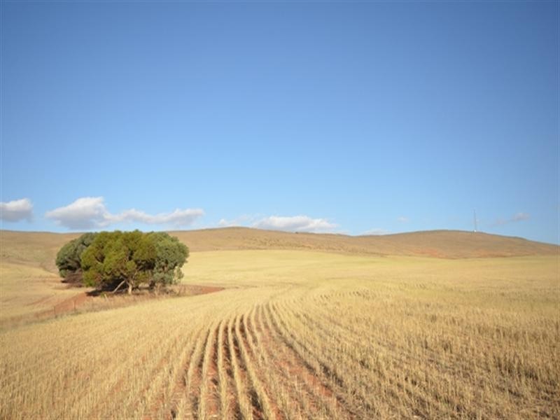 Sec 581and582 Riley Road, Farrell Flat SA 5416