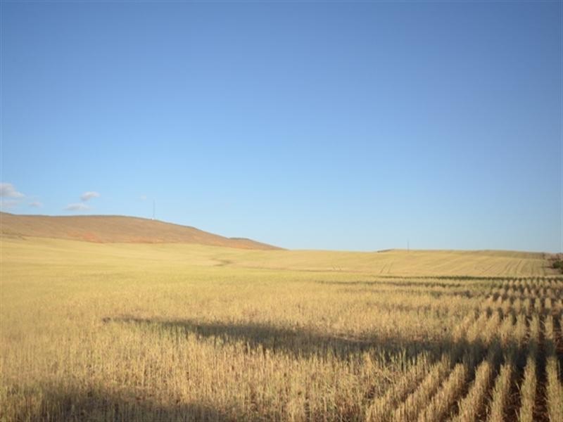 Sec 581and582 Riley Road, Farrell Flat SA 5416