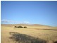 Sec 581and582 Riley Road, Farrell Flat SA 5416