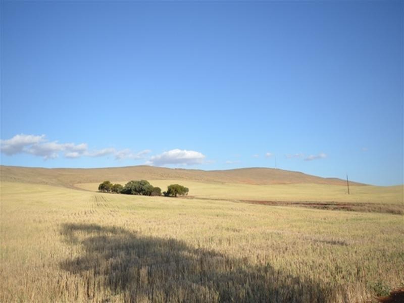 Sec 581and582 Riley Road, Farrell Flat SA 5416