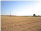 Sec 581and582 Riley Road, Farrell Flat SA 5416