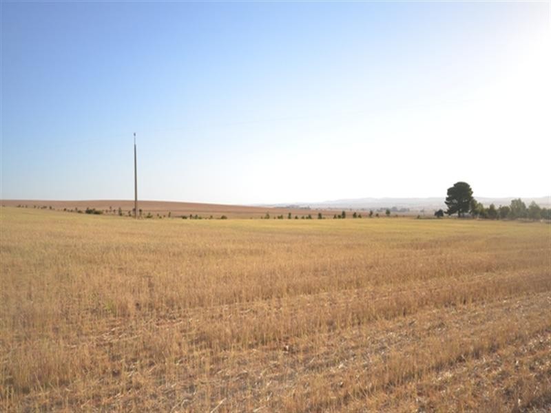 Sec 581and582 Riley Road, Farrell Flat SA 5416