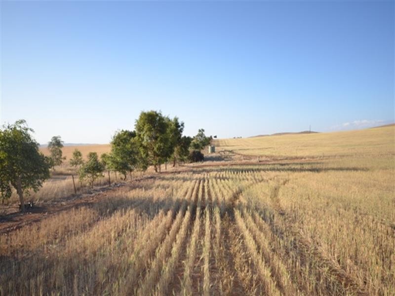 Sec 581and582 Riley Road, Farrell Flat SA 5416