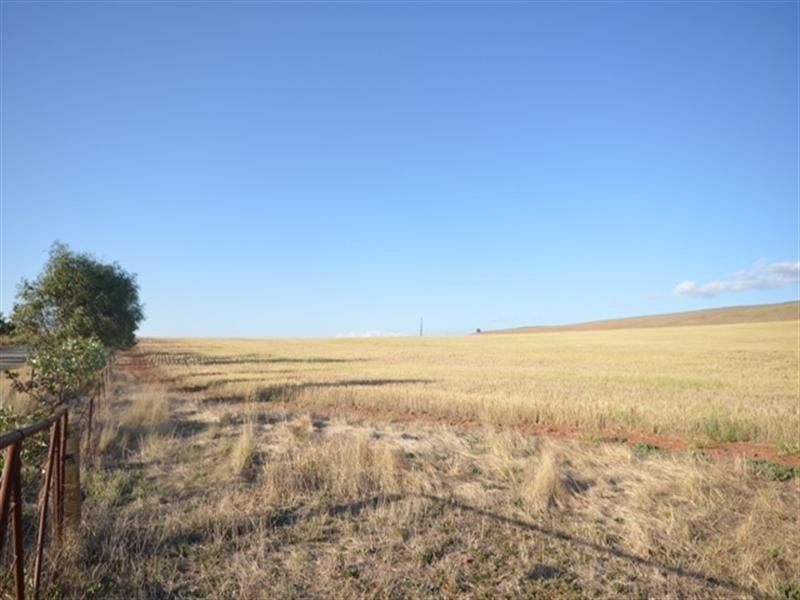Sec 581and582 Riley Road, Farrell Flat SA 5416