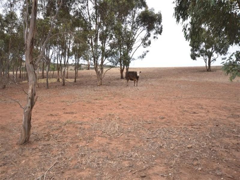 Lot 1 Hawkers Creek Road, Kapunda SA 5373