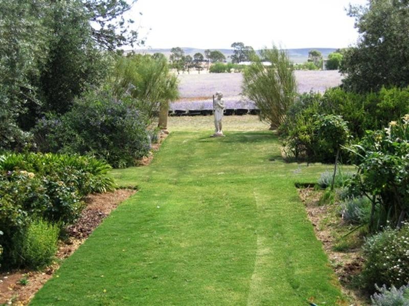 Lot 1 Llanelly Street, Burra SA 5417