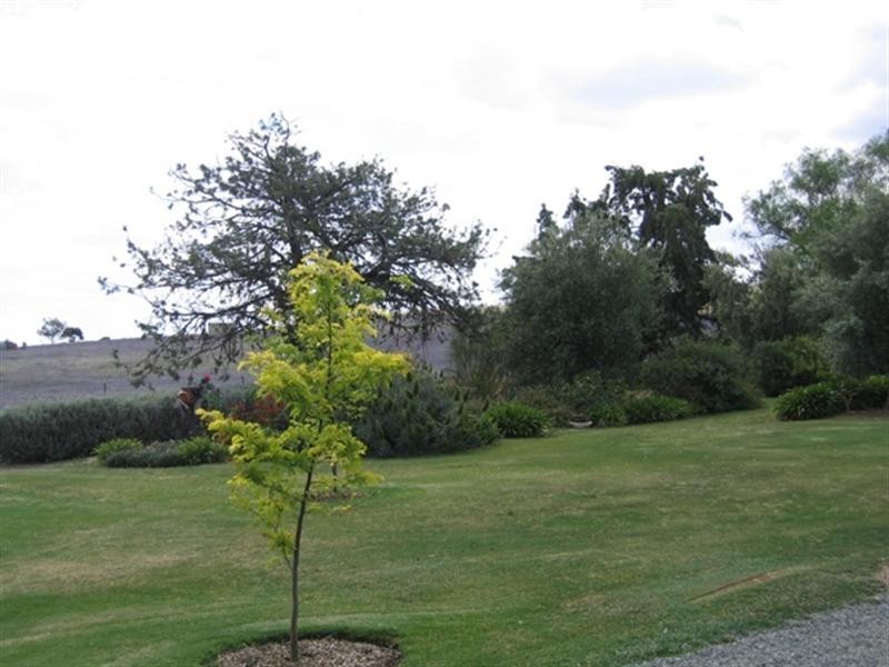 Lot 1 Llanelly Street, Burra SA 5417