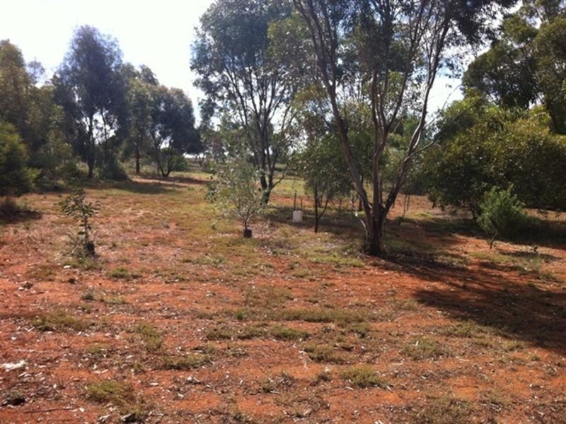 20 Truro Street, Burra SA 5417