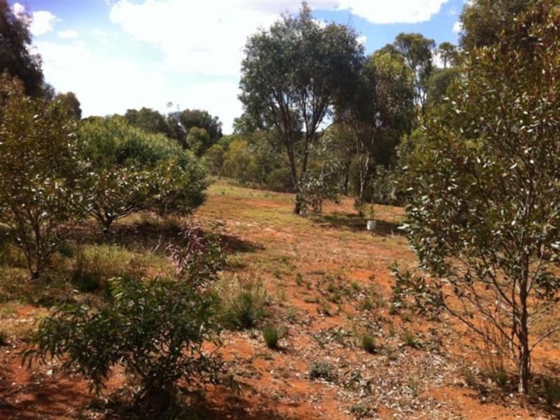 20 Truro Street, Burra SA 5417