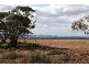 Sec 224 Kimba Road, Cowell SA 5602