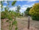 Lot 200 Benbournie Road, Clare SA 5453