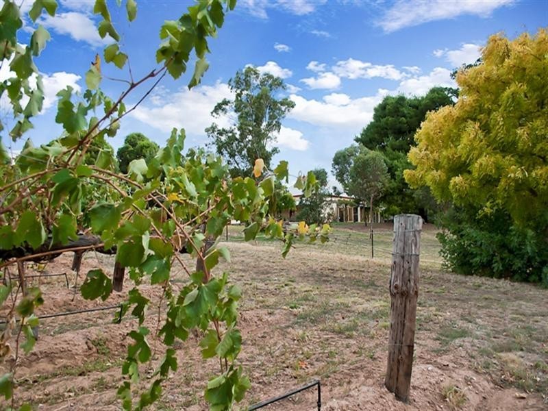 Lot 200 Benbournie Road, Clare SA 5453