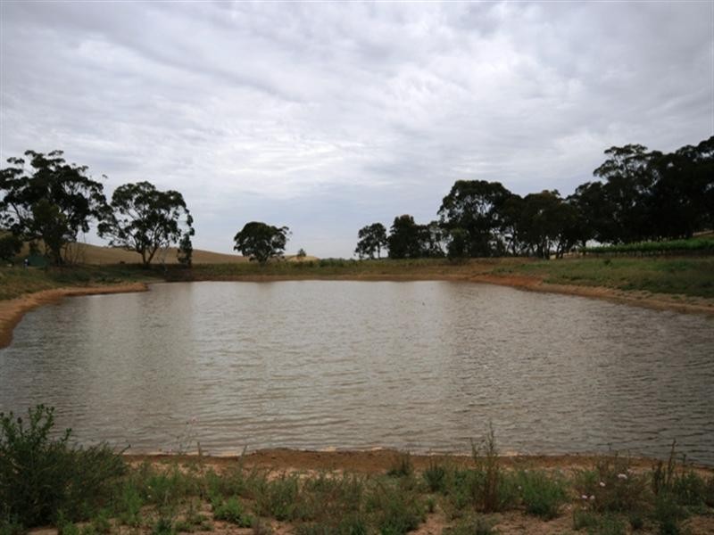 Lot 200 Benbournie Road, Clare SA 5453