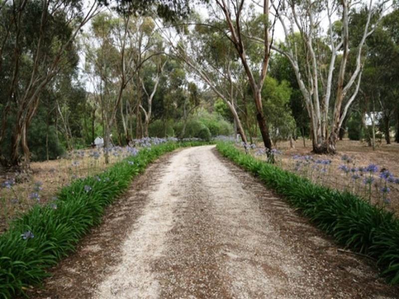 Lot 200 Benbournie Road, Clare SA 5453