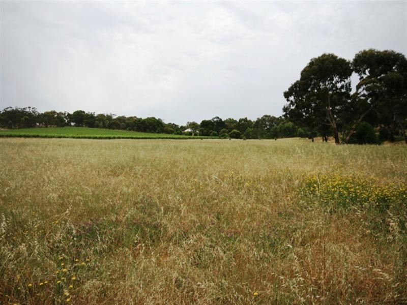 Lot 200 Benbournie Road, Clare SA 5453