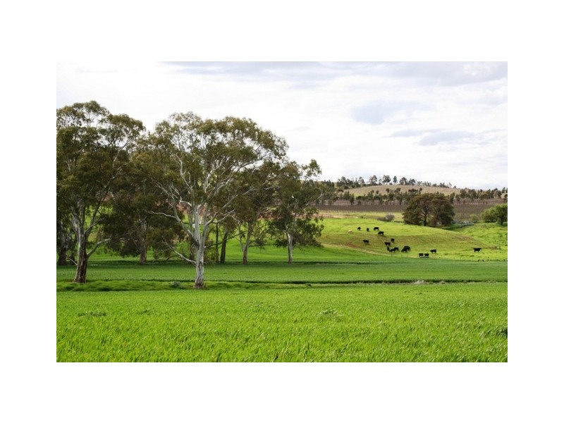 Lot 21 Hean Road, Auburn SA 5451