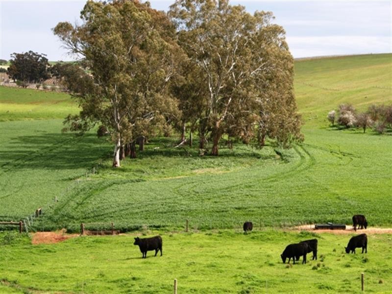 Lot 21 Hean Road, Auburn SA 5451