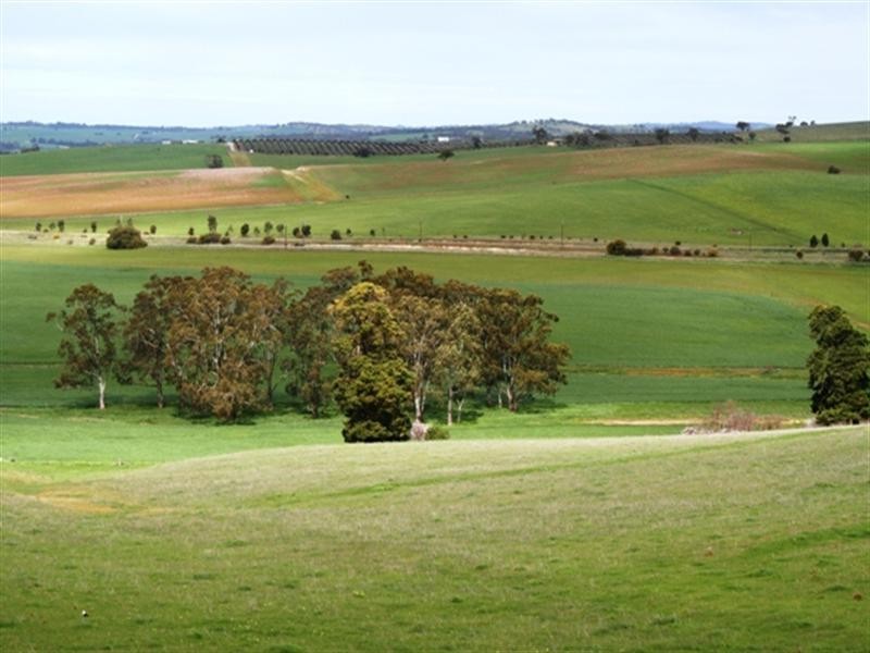 Lot 21 Hean Road, Auburn SA 5451