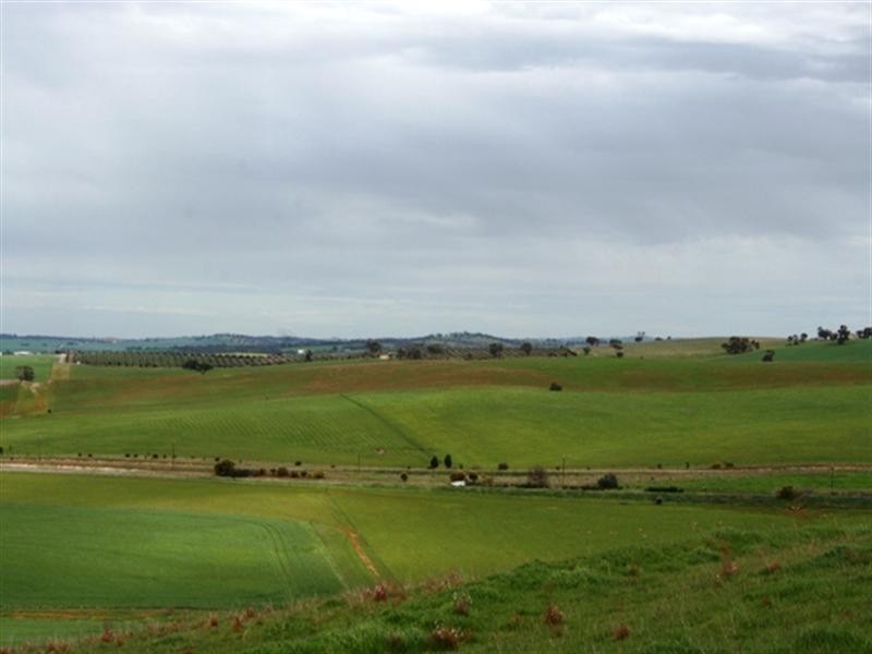 Lot 21 Hean Road, Auburn SA 5451