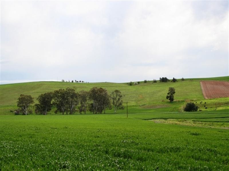 Lot 21 Hean Road, Auburn SA 5451