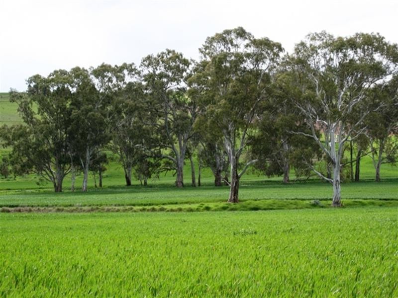 Lot 21 Hean Road, Auburn SA 5451