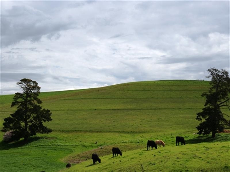 Lot 21 Hean Road, Auburn SA 5451